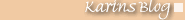 Karins Blog